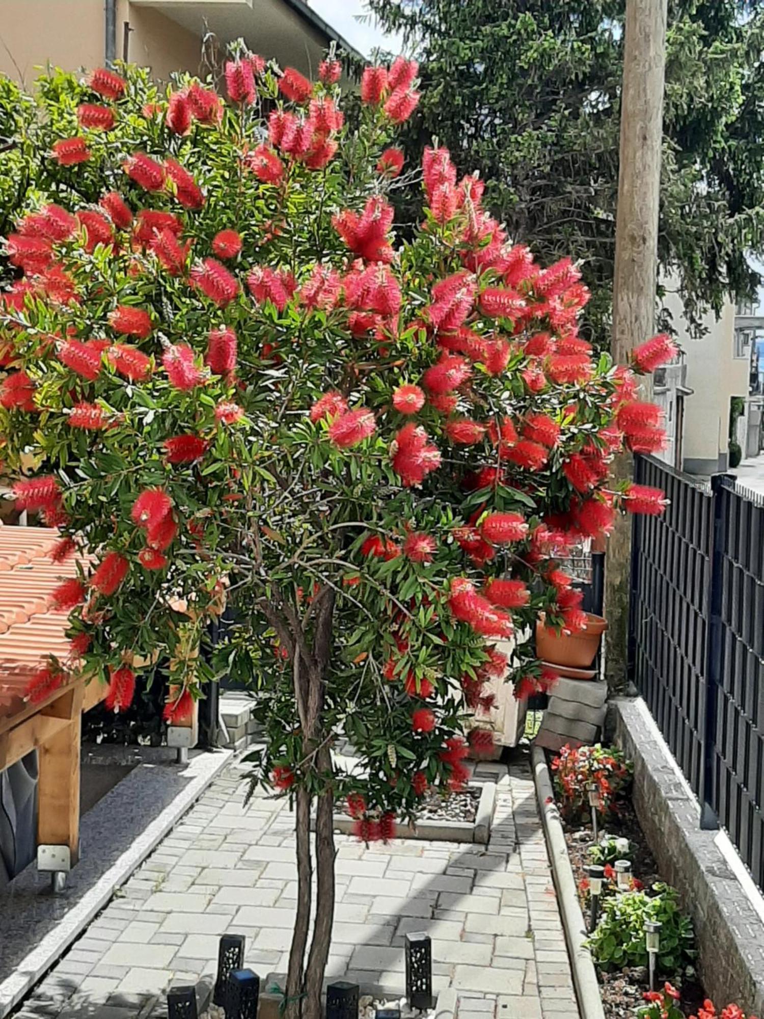 Apartment Radalj Kaštela Kültér fotó